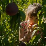 "Alcarràs", de Carla Simón, representará a España en los próximos Premios Oscar