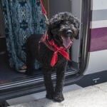 Un perro bajando del AVE