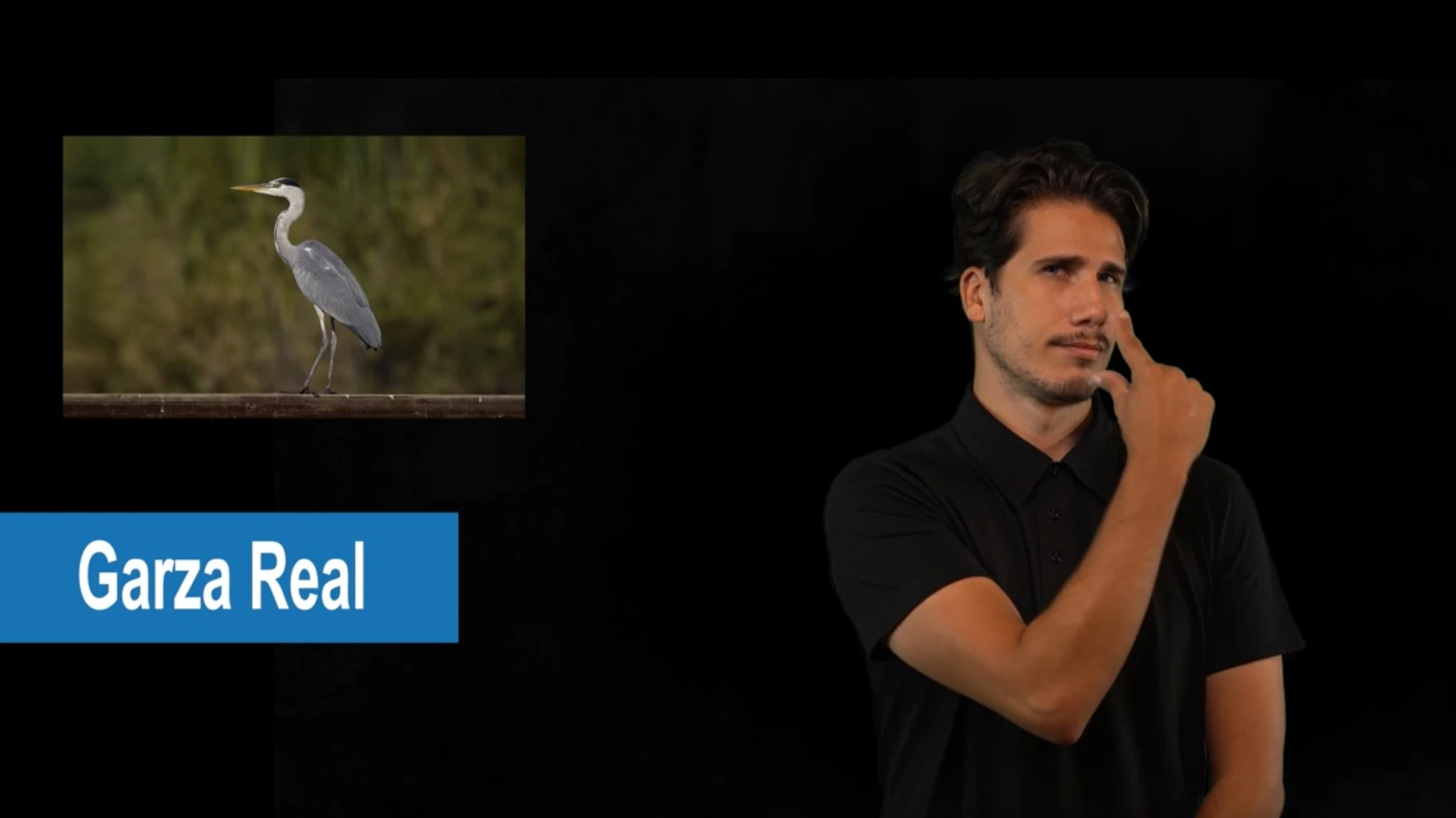 Signo Garza Real en lengua de signos