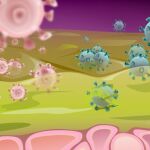 El gel sintético replica la función de autocuración de la mucosidad en el cuerpo: las moléculas de mucina atrapan partículas de virus, como el VIH y el herpes, que luego se eliminan a través de la renovación de la mucosidad.