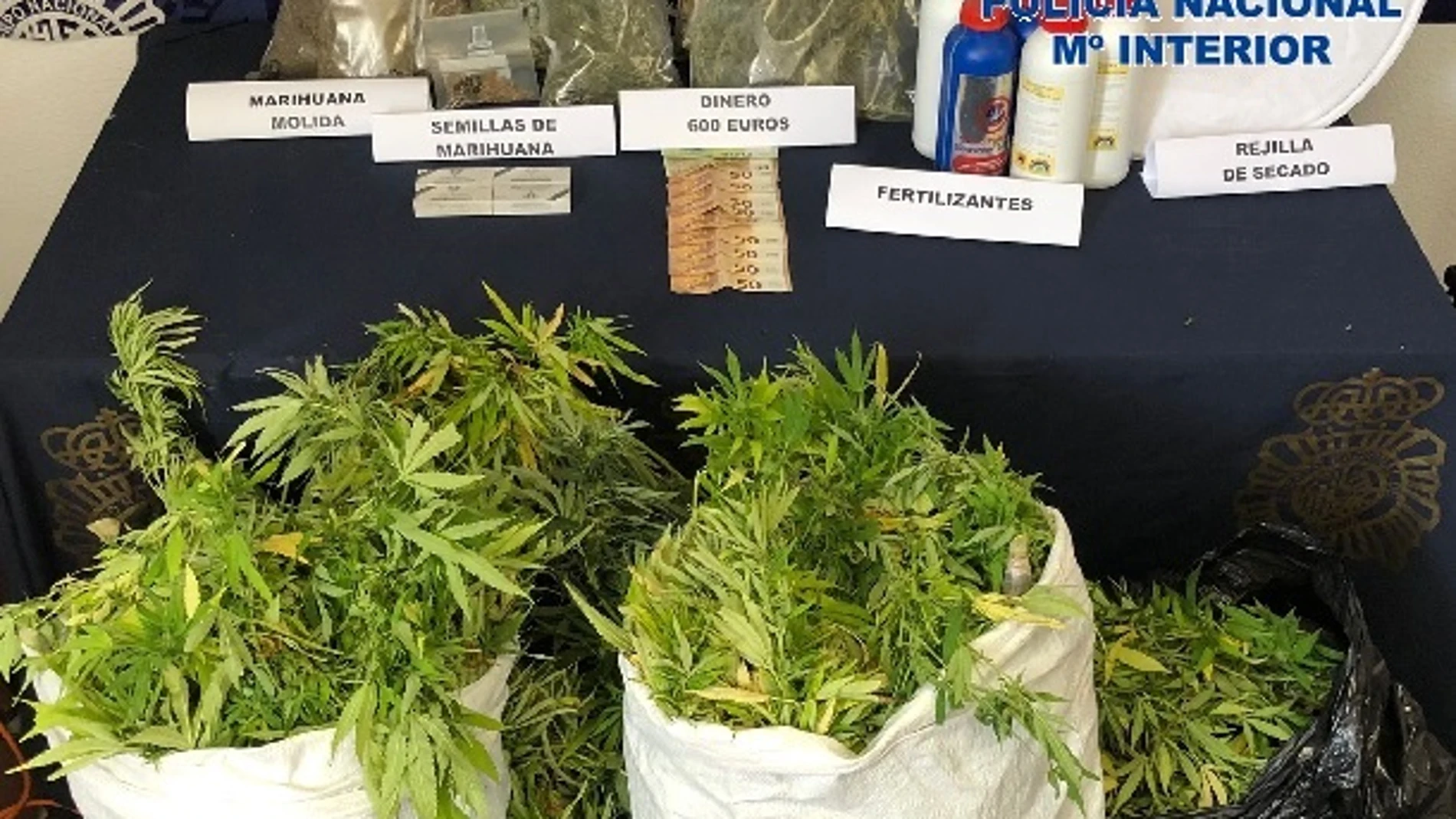 La marihuana intervenida en Fuengirola. POLICÍA NACIONAL MÁLAGA