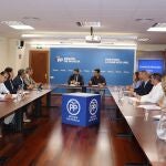 Reunión del comité de dirección del PPRM