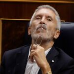 El ministro del Interior, Fernando Grande-Marlaska