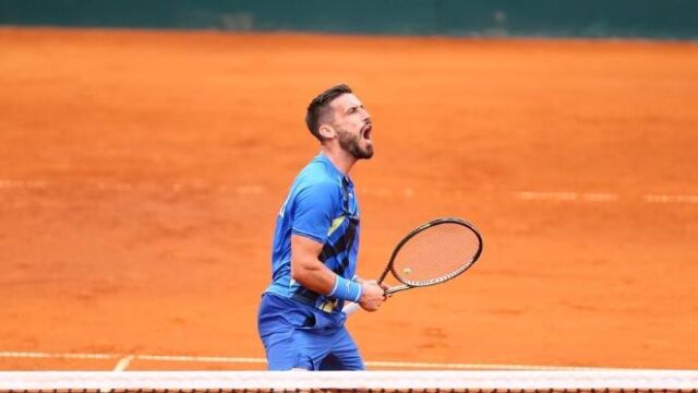 Damir Dzumhur