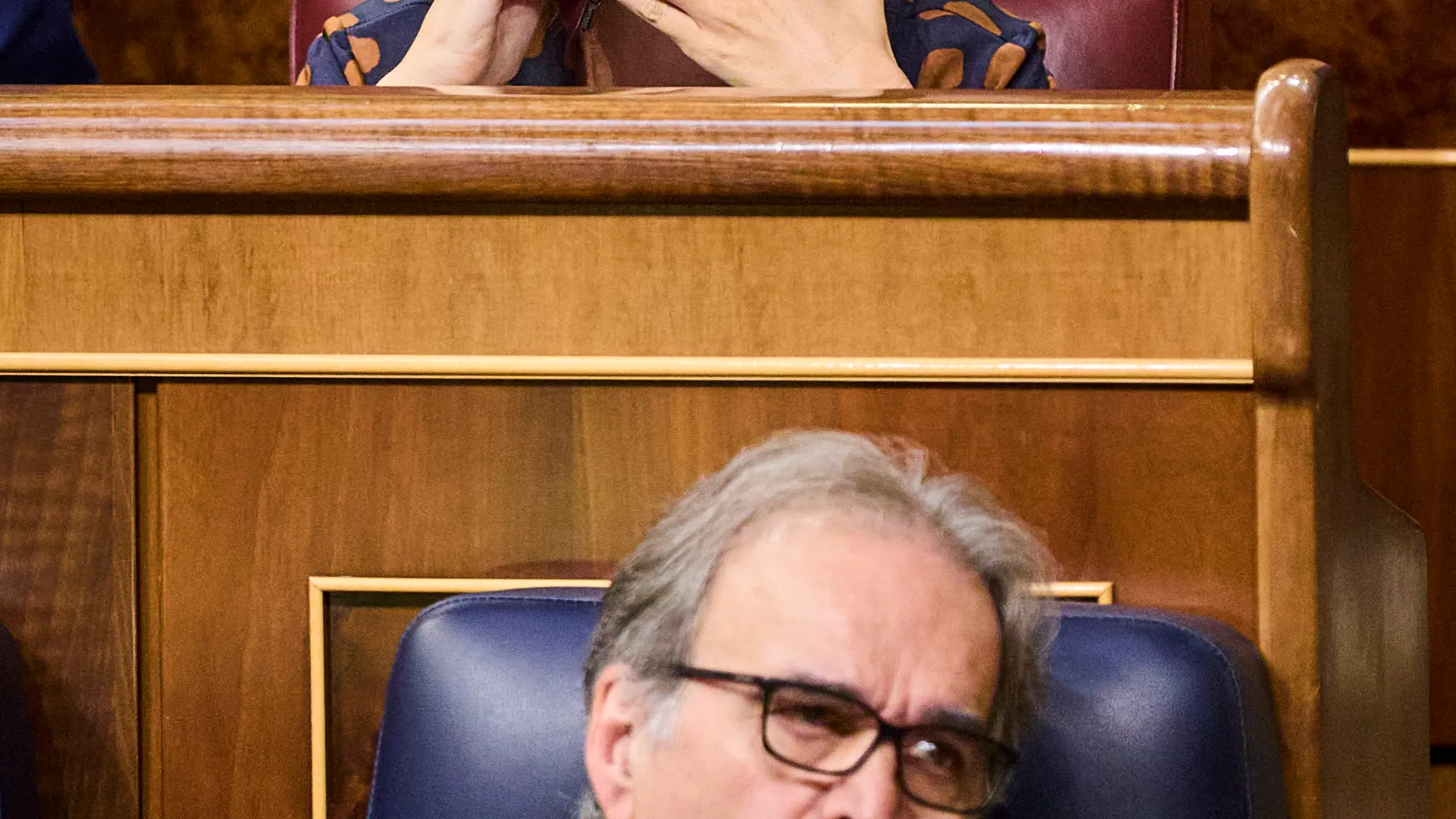 Cuca Gamarra y Joan Subirats en el pleno celebrado en el Congreso de los Diputados