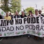 Las organizaciones profesionales agrarias Asaja, COAG y UPA se manifiestan para denunciar los "inasumibles costes" de producción que hacen "inviable" la sementera de cereales