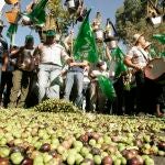 Los agricultores están en pie de guerra por los "graves" problemas que acorralan al sector