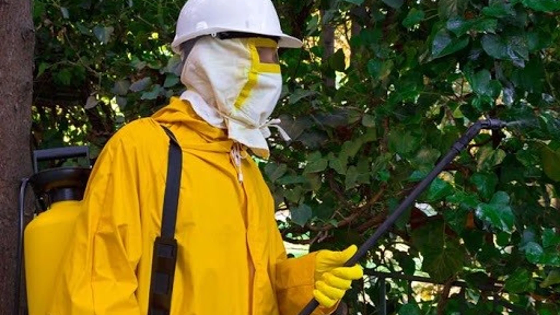Sevilla.-San Juan comienza el miércoles la fumigación contra el mosquito del Virus del Nilo