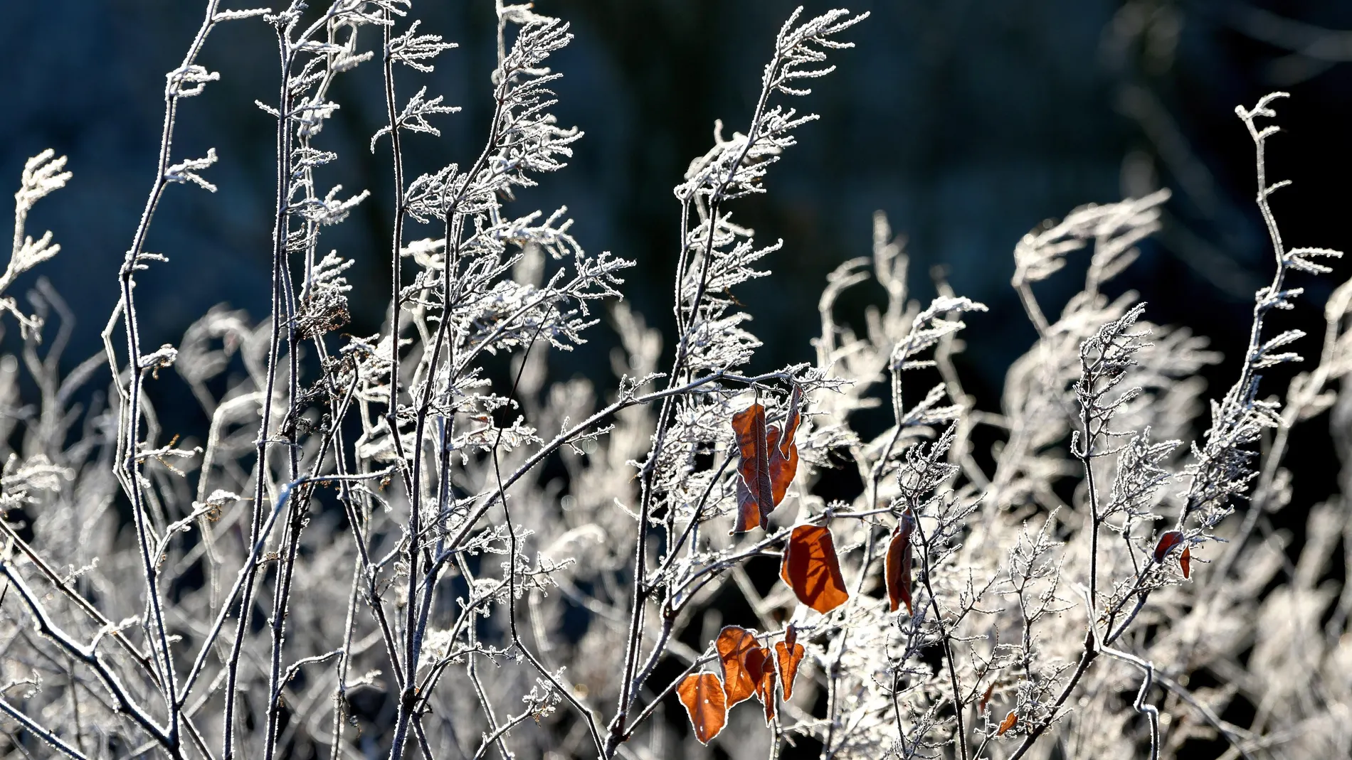 Bajarán las temperaturas en la mayoría del país