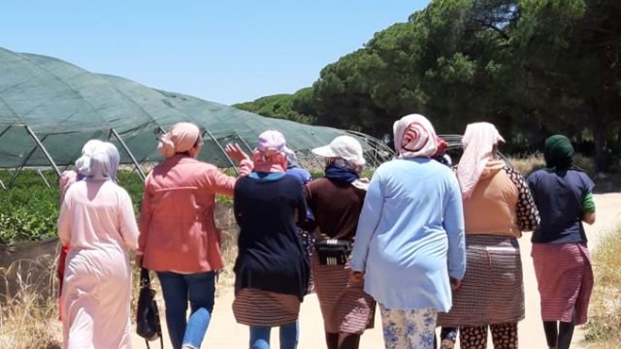 El 19% de las mujeres marroquíes mantienen la economía familiar