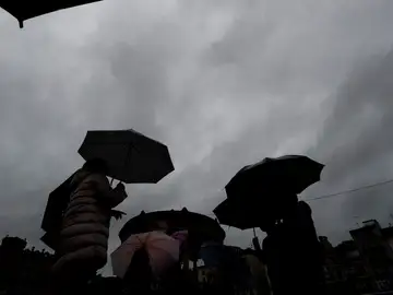 Tren de frentes Tren de frentes