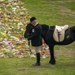 El viejo caballo huérfano de la Reina Isabel