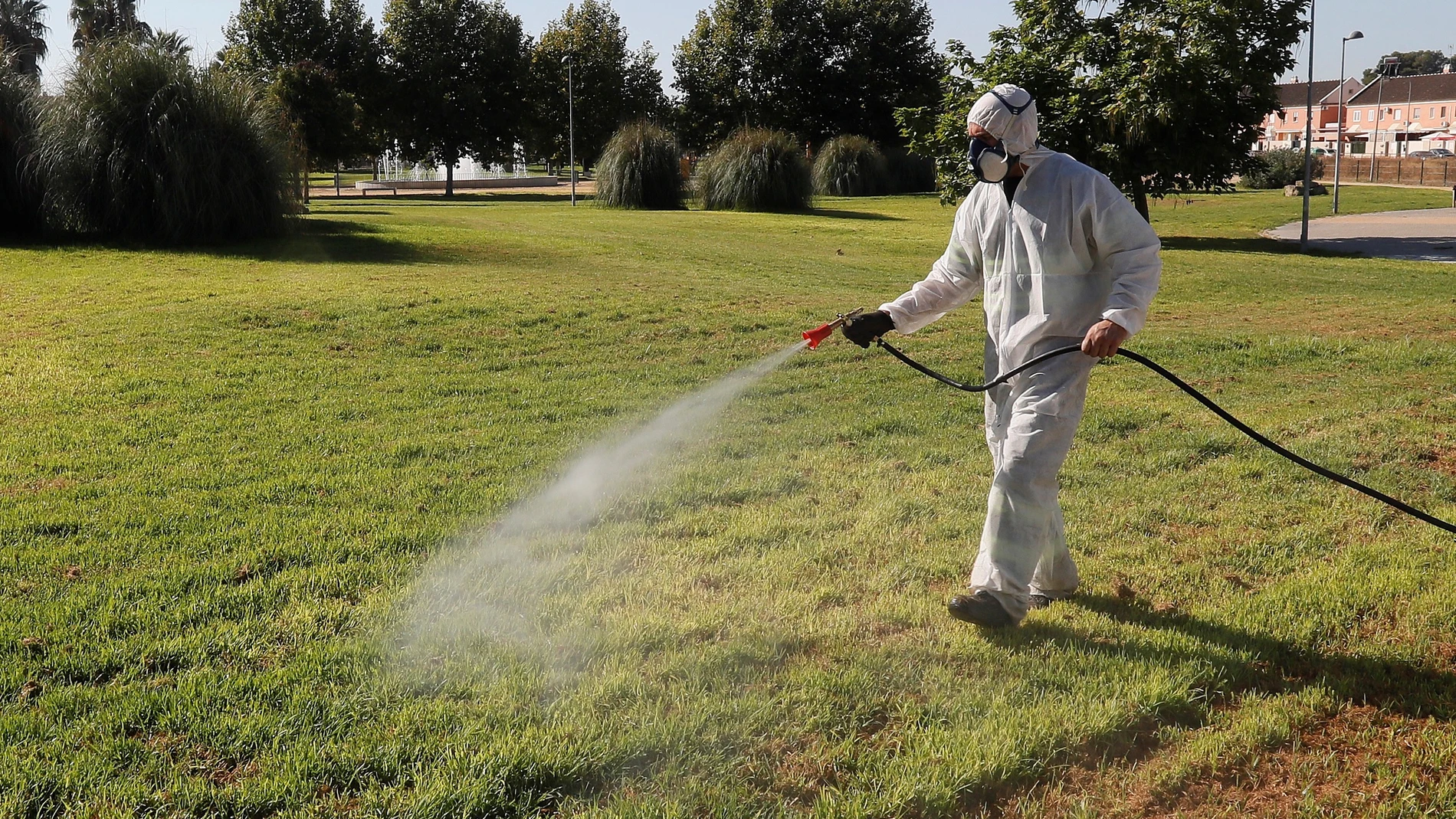 Fumigación en jardines Coria del Rio