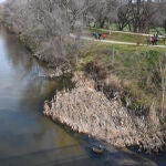 Varias personas caminan durante la marcha 'Por un río para una ciudad y sus barrios'