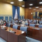 Imagen de la comisión de investigación sobre la Faffe constituida en el Parlamento andaluz