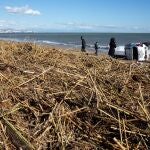 Varias personas miran un coche volcado por el temporal en la playa, cubierta de cañas, de Fuengirola