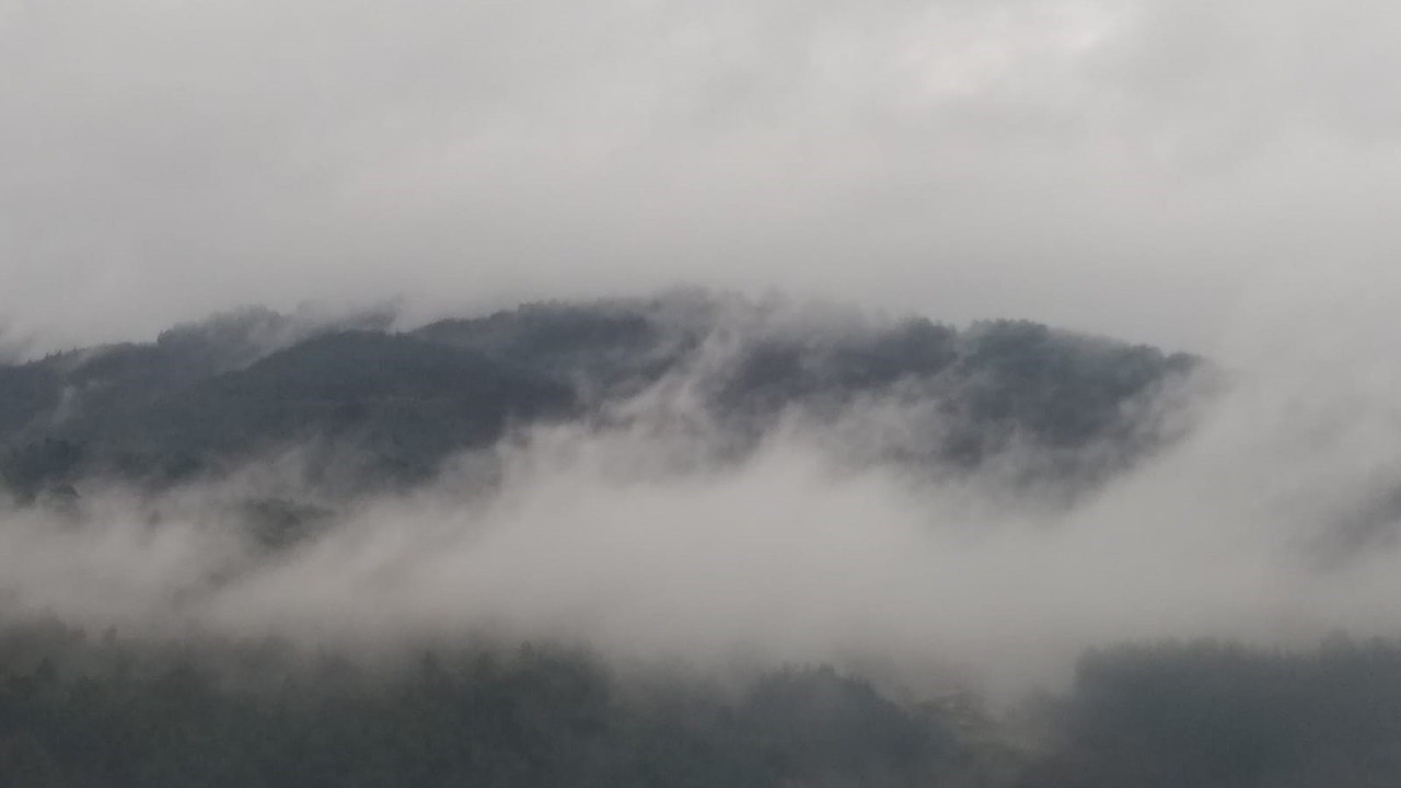 Precaución conductores: la AEMET alerta de brumas y bancos de niebla a primera hora en estos pueblos de Aragón