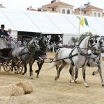 Una imagen de archivo del evento "Una Pará en Gines"