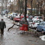 Ramas caídas en las calles de Madrid