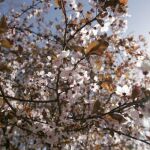 Cielos soleados y temperaturas primaverales en la mayoría del país