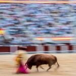 Festejo en Las Ventas, Madrid