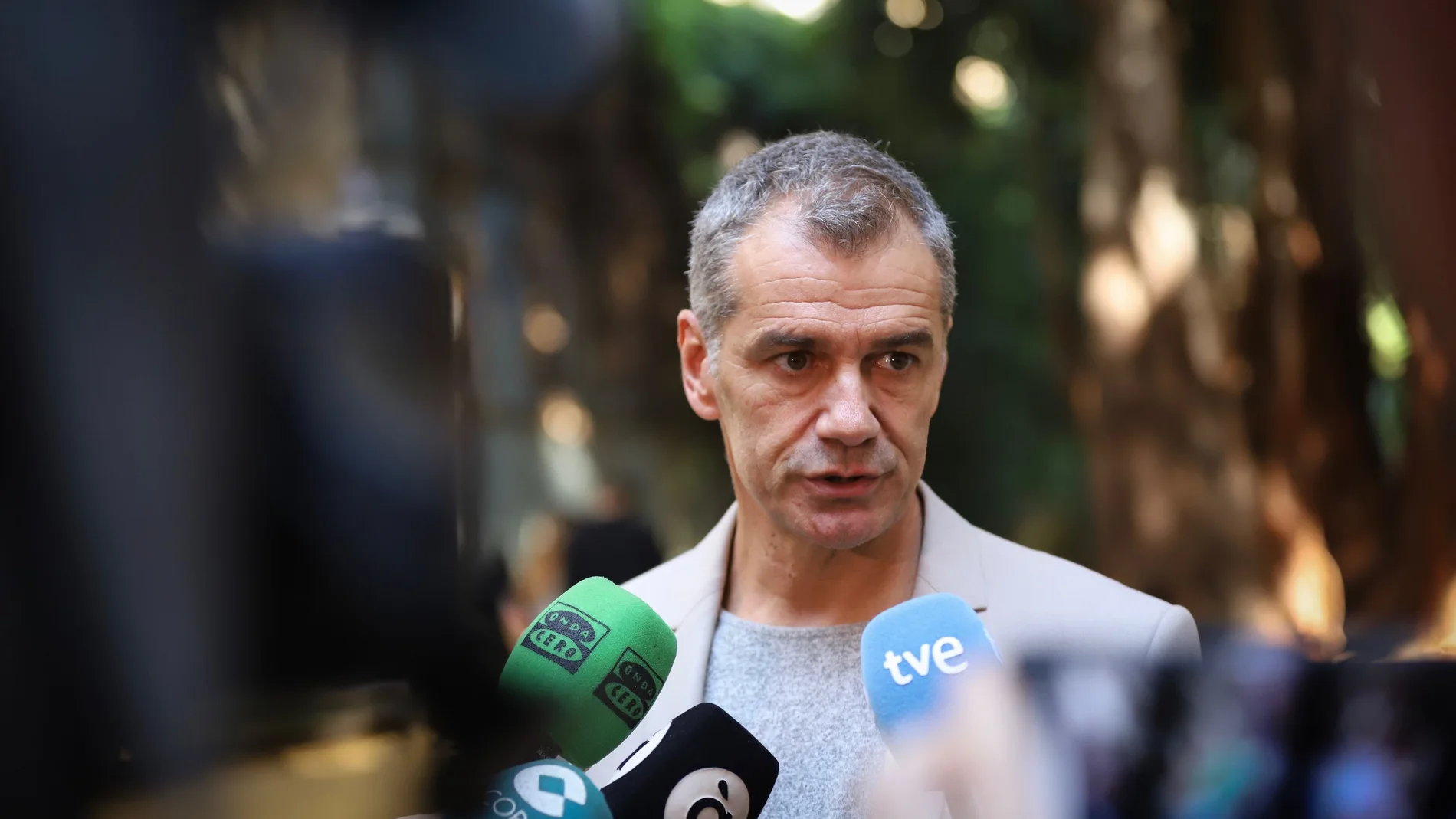 Toni Cantó, director de la Oficina del Español