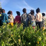 Un grupo de los niños que han pasado por el centro cordobés donde se desarrolla el Proyecto Ödos