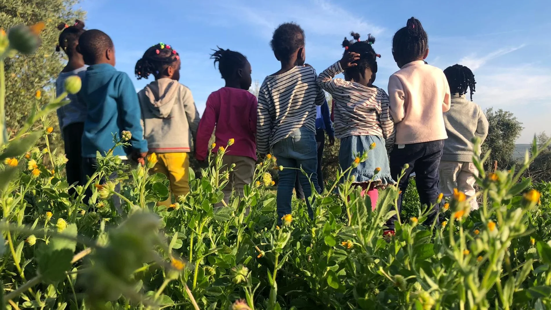 Un grupo de los niños que han pasado por el centro cordobés donde se desarrolla el Proyecto Ödos