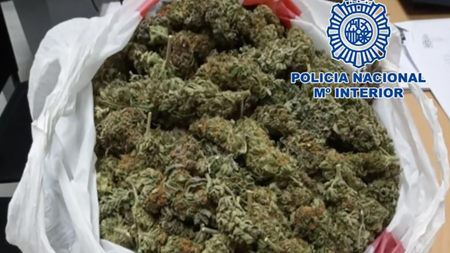 Cogollos de marihuana