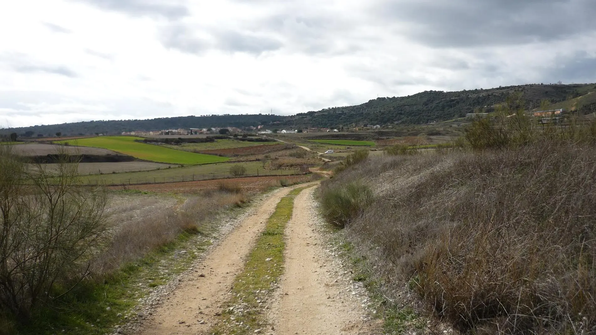 Camino Mendocino en Madrid