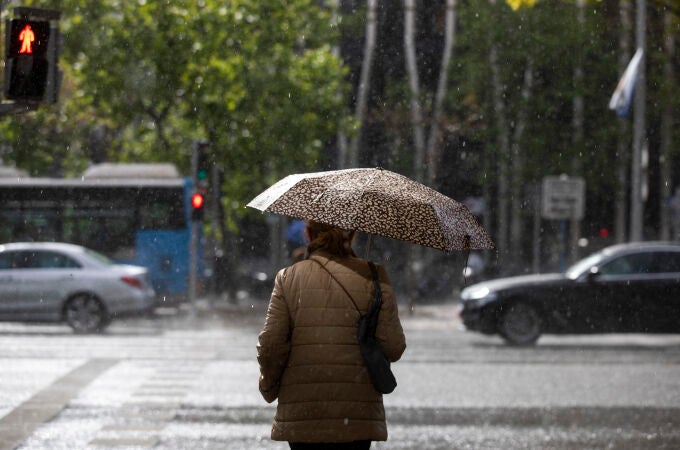 Una mujer bajo la lluvia con su paraguas cruza un paso de peatones en la Castellana de Madrid.