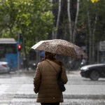 Una mujer bajo la lluvia con su paraguas cruza un paso de peatones en la Castellana de Madrid.