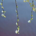 Primer día de la primavera con un frío invernal