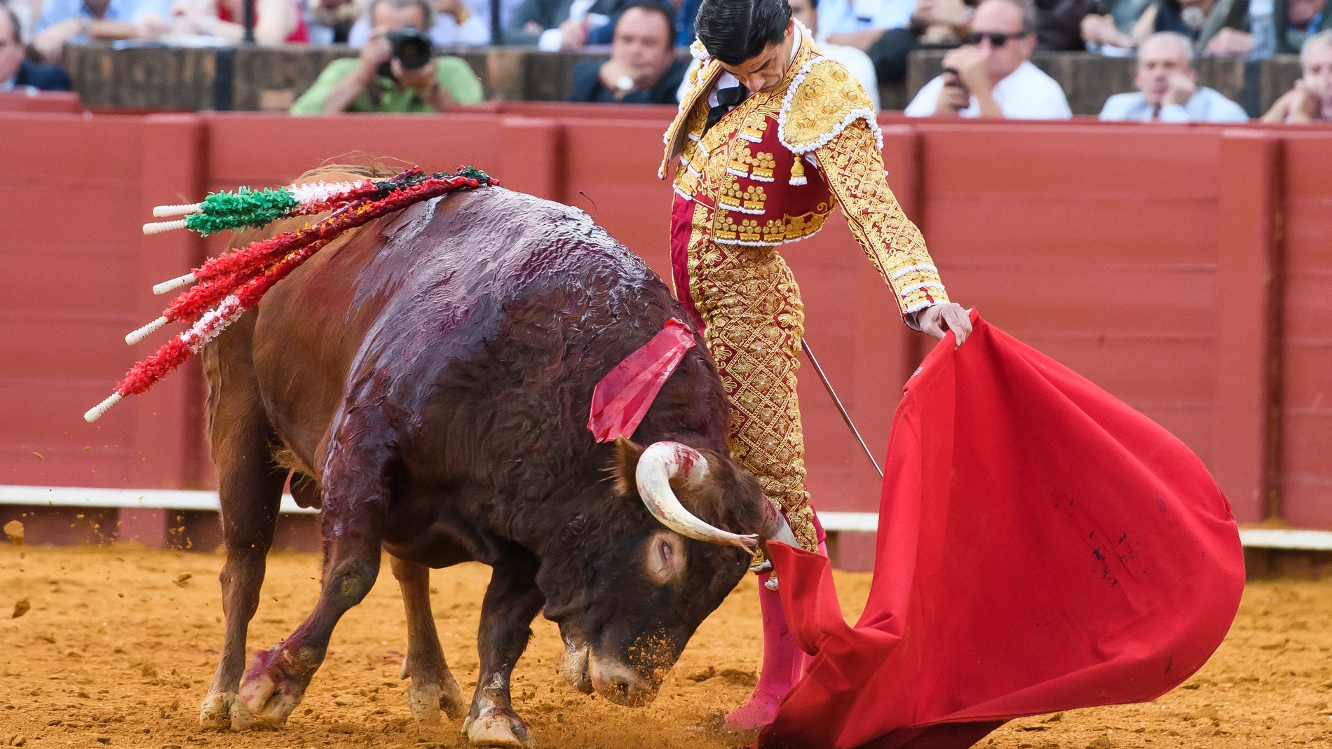 SEVILLA, 25/09/2022. - El diestro Pablo Aguado da un pase con la muleta a su primer toro, durante la corrida de la Feria de San Miguel celebrada este domingo en la Plaza de la Maestranza de Sevilla. EFE/Raúl Caro