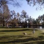 Parque Tierno Galván de San Martín de la Vega (Madrid)