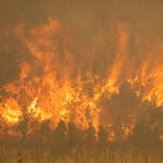 Incendios y ola de calor