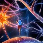 El ejercicio físico afecta a nuestra salud cognitiva