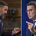 El líder de Vox, Santiago Abascal, y el del PP, Alberto Núñez Feijóo
