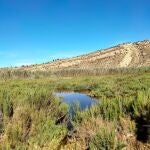 Murcia realiza tratamientos aéreos en la rambla de Tabala para evitar la proliferación de mosquitos tras las lluvias