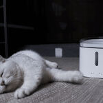 Xiaomi Smart Pet Fountain.