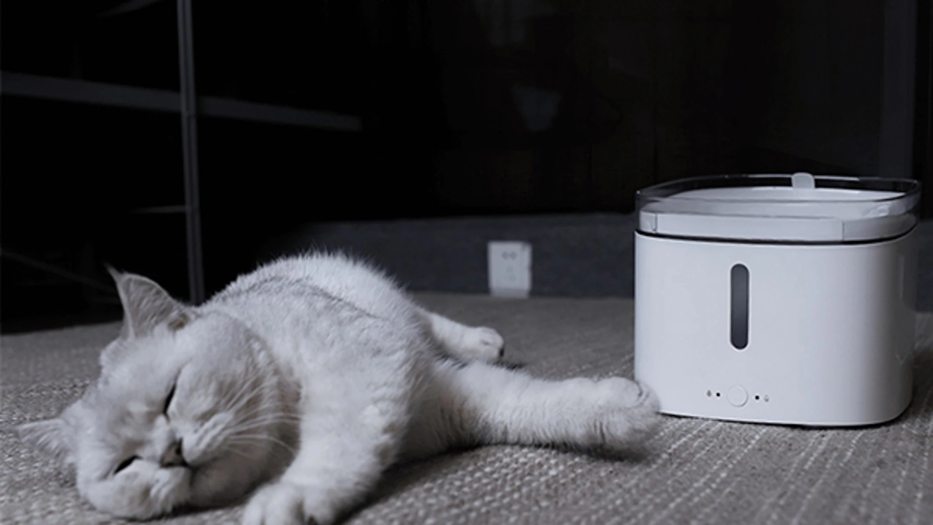 Xiaomi Smart Pet Fountain.