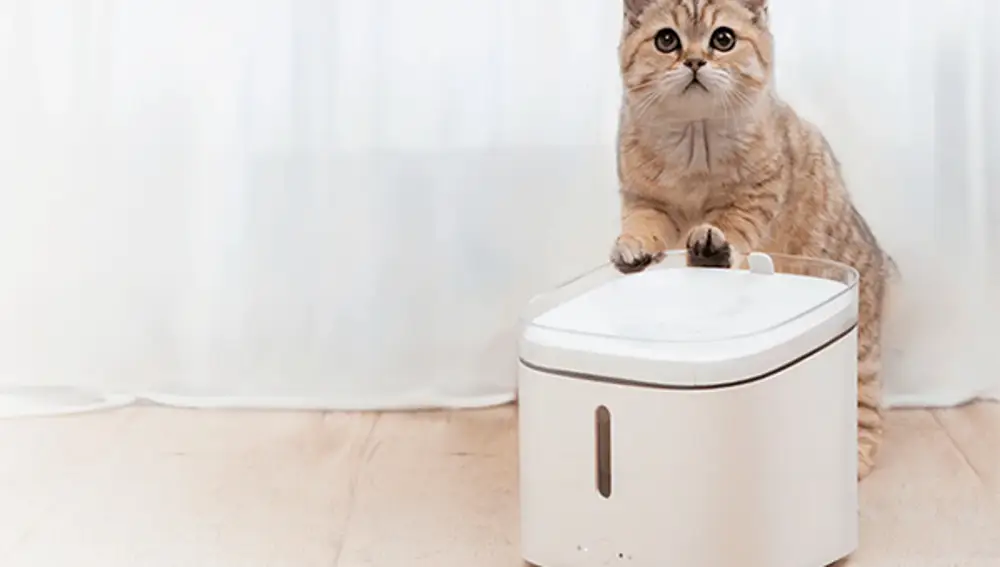 Xiaomi Smart Pet Fountain.