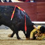 Álvaro Alarcón cogido en el segundo novillo