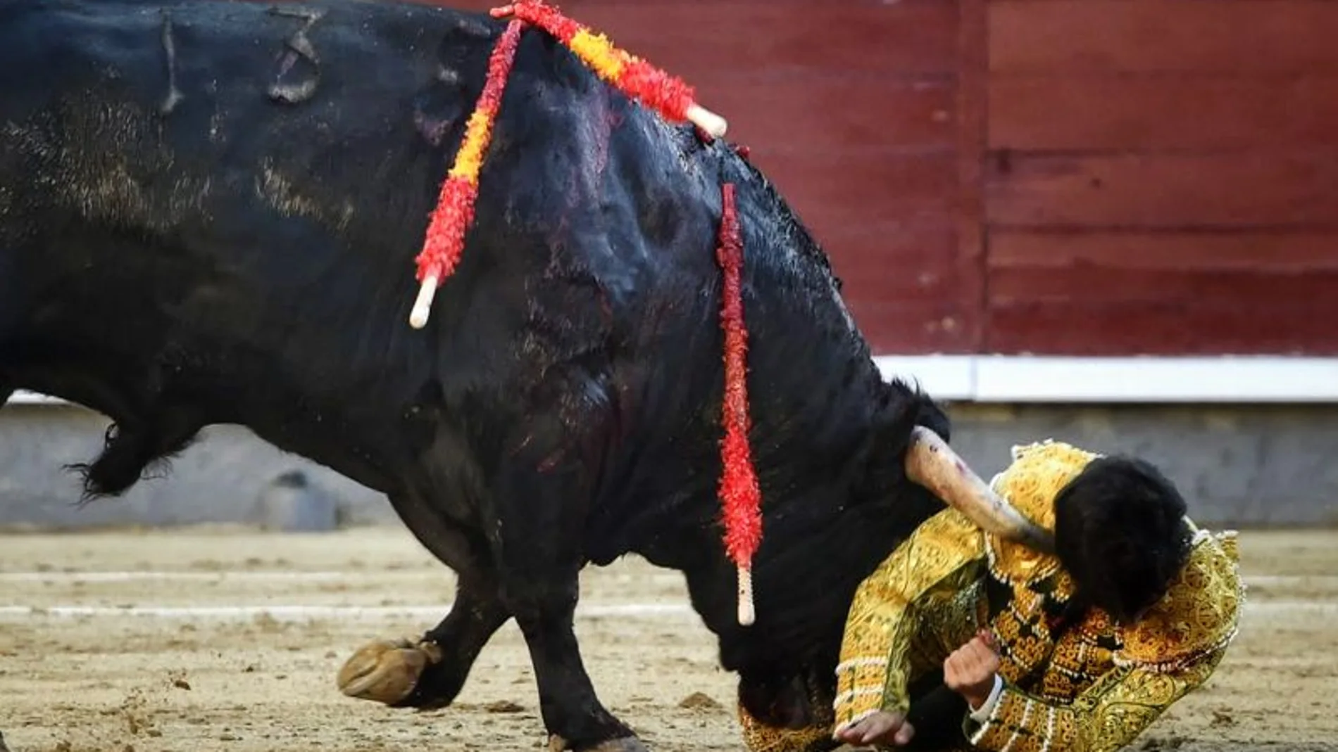 Álvaro Alarcón cogido en el segundo novillo