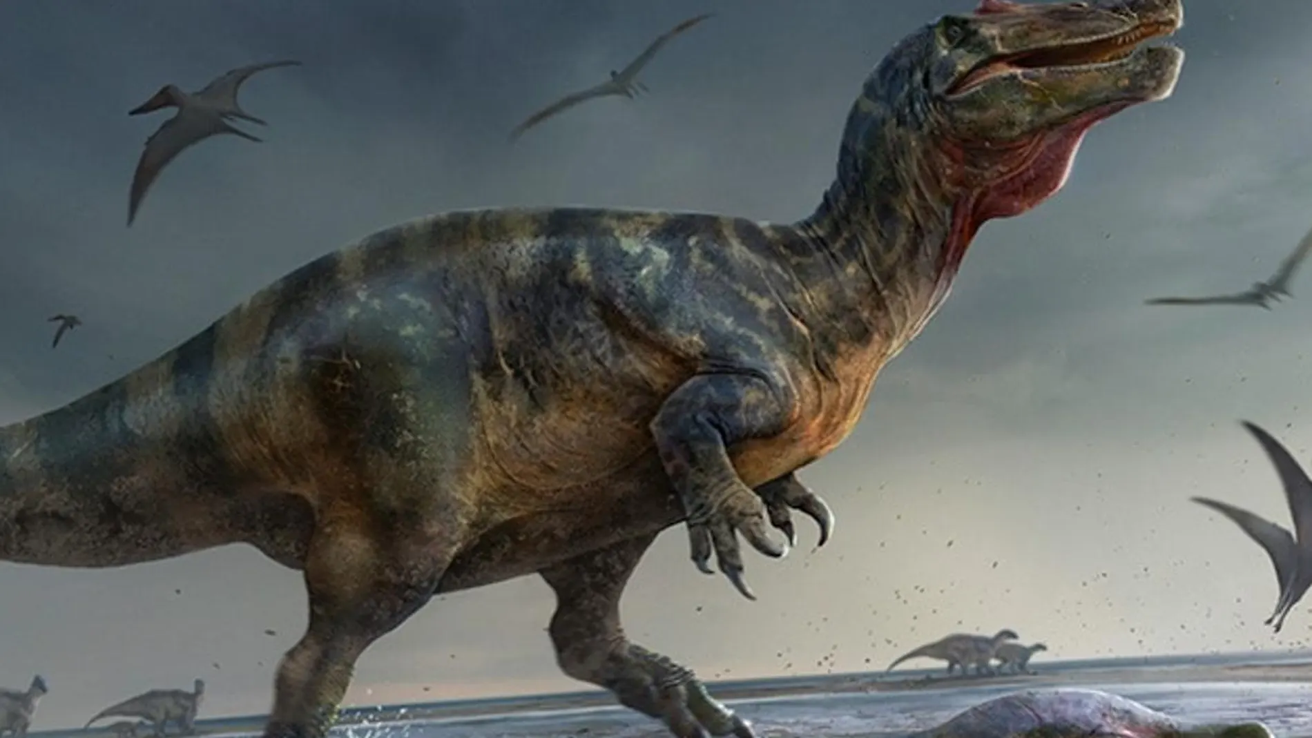 Reconstrucción artística del "espinosáurido White Rock" en las llanuras de arena de la Formación Vectis (Isla de Wight, Reino Unido), reclamando un plesiosaurio varado de algunos pterosaurios carroñeros | Fuente: Anthony Hutchings / Universidad de Southampton / AFP