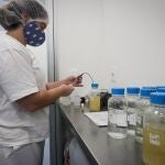 Las mujeres representan entre el 45 y el 55 por ciento de los estudiantes de grado y de maestr&iacute;as