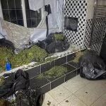 La mansión del ex futbolista servía para cultivar marihuana