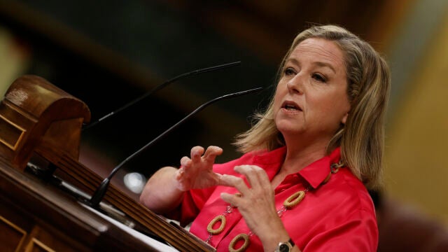 La diputada de Coalición Canaria, Ana María Oramas.