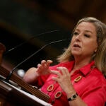 La diputada de Coalición Canaria, Ana María Oramas.