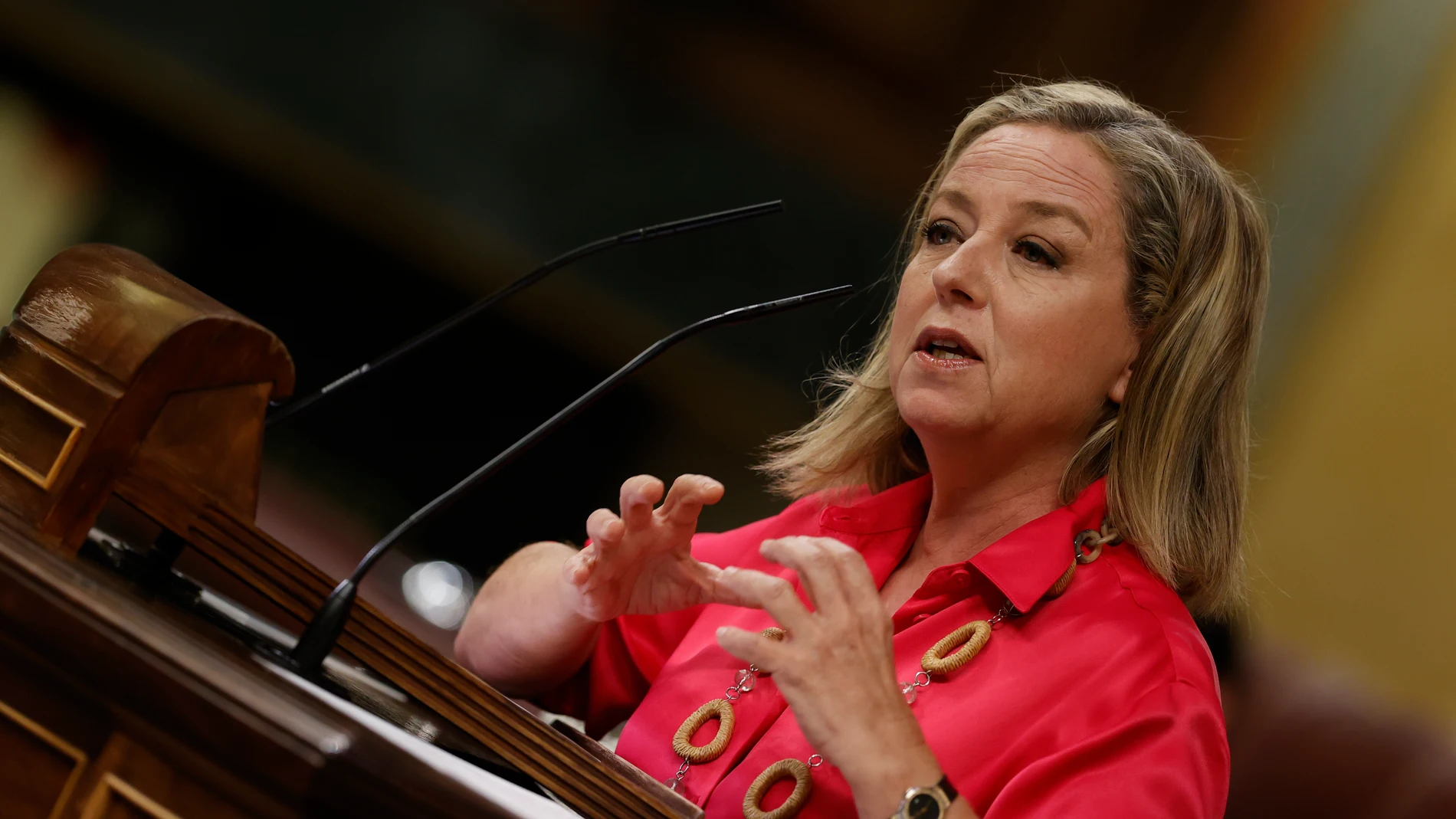 La diputada de Coalición Canaria, Ana María Oramas.